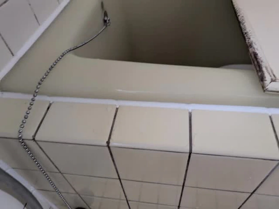 画像233
