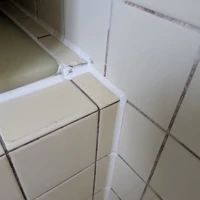 画像239