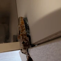 画像242