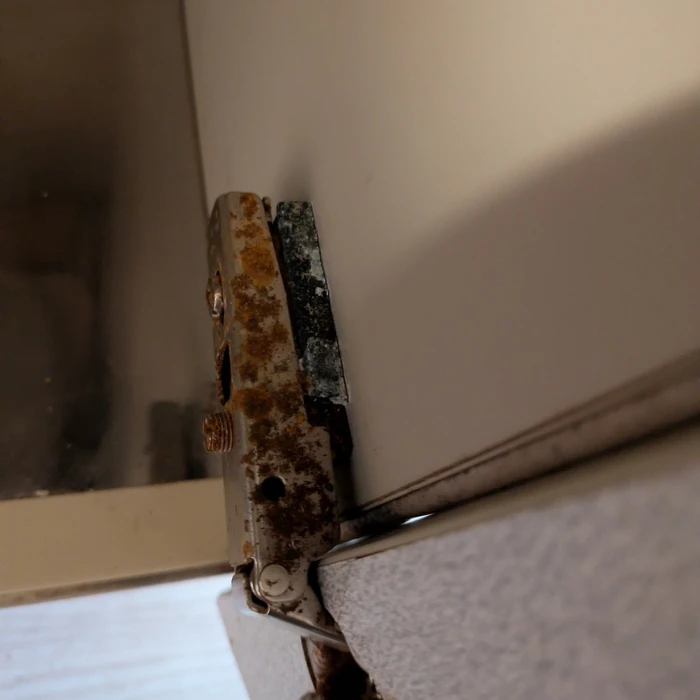画像242