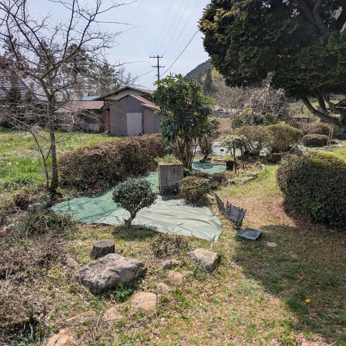 画像250