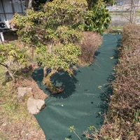 画像251